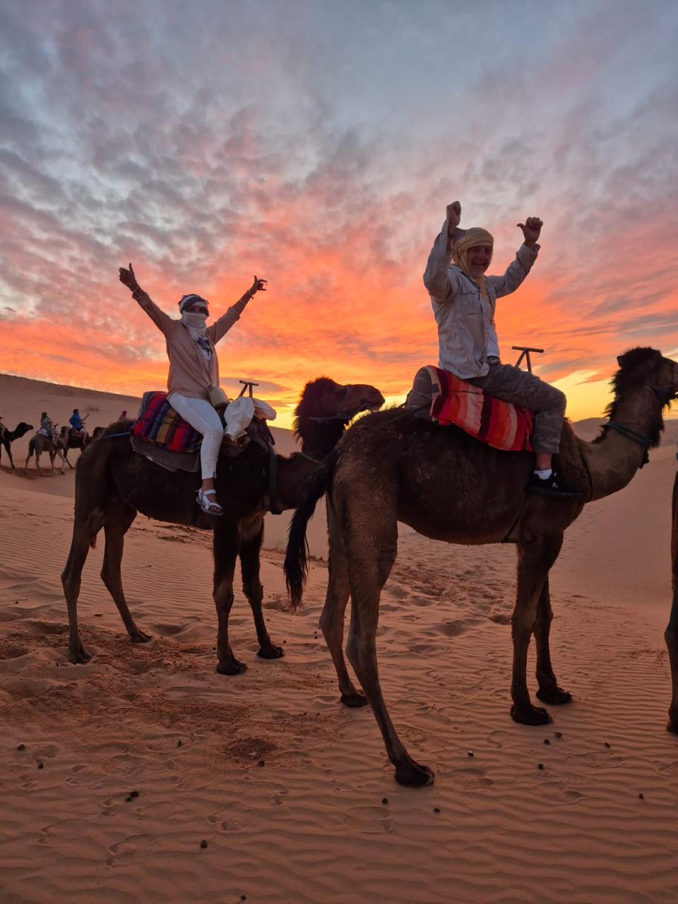 Camel Tours